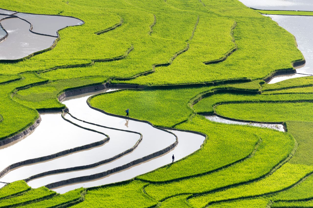 A stunning aerial shot of vibrant green terraced rice fields with reflections in water.